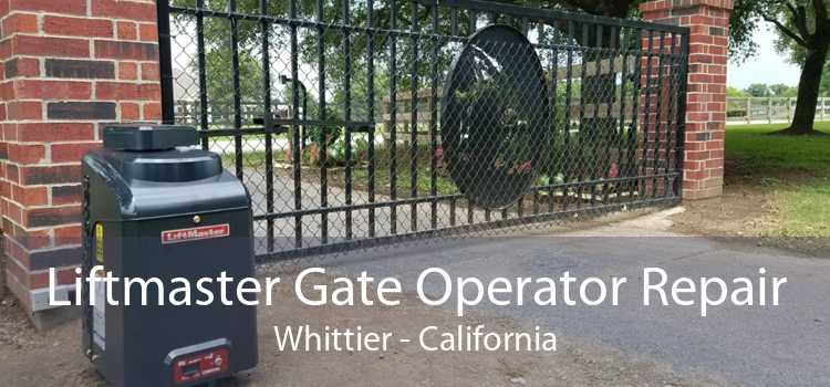 Liftmaster Gate Operator Repair Whittier - California